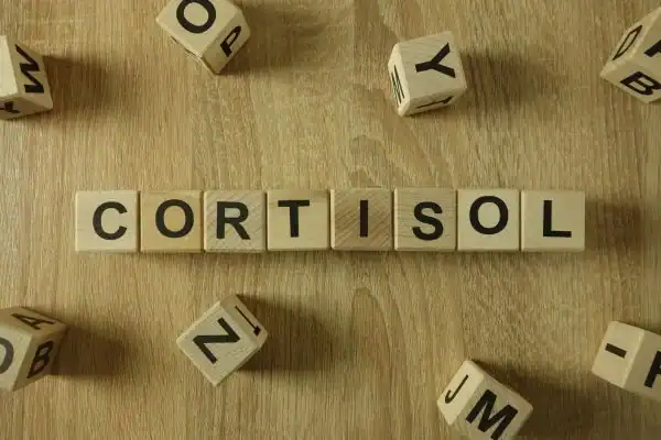 The Hidden Connection: How Stress Shapes Your Fitness and Body Composition 2 Image saying "Cortisol" and how stress Hamilton impacts your wellbeing and bodies shape